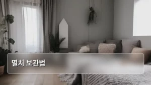 멸치 보관법, 신선함 오래 지키는 완벽 가이드